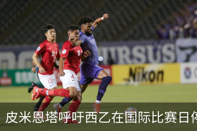 皮米恩塔呼吁西乙在国际比赛日停赛以保护国脚
